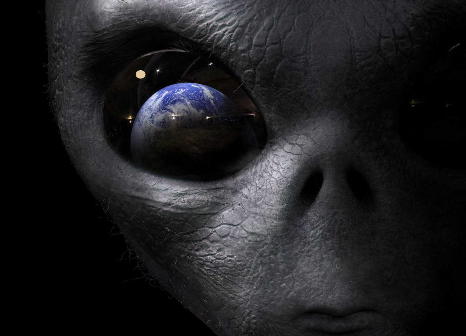 Humans will actually react pretty well to news of alien life